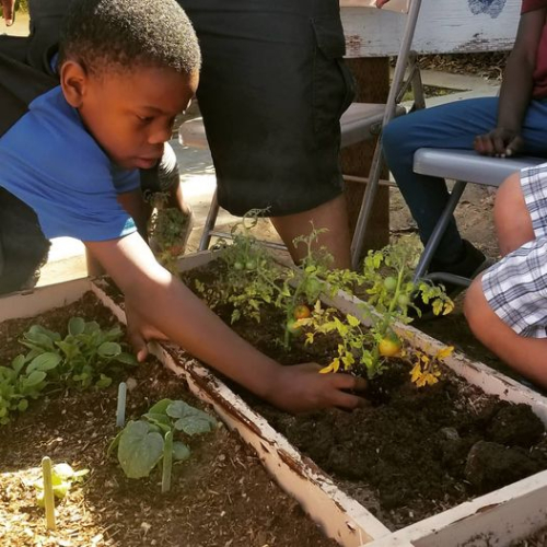 34215715_810732955792248_4076963298744991744_n 34215715_810732955792248_4076963298744991744_n