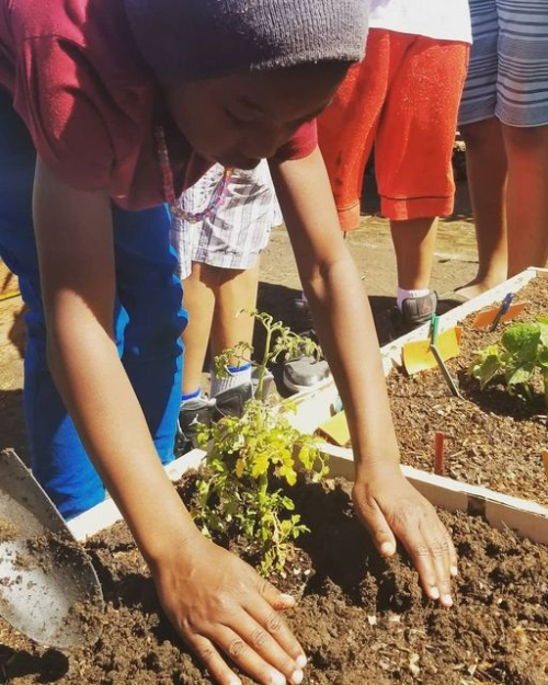 34215715_810732955792248_4076963298744991744_n 34215715_810732955792248_4076963298744991744_n