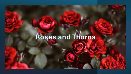 Roses and thorns