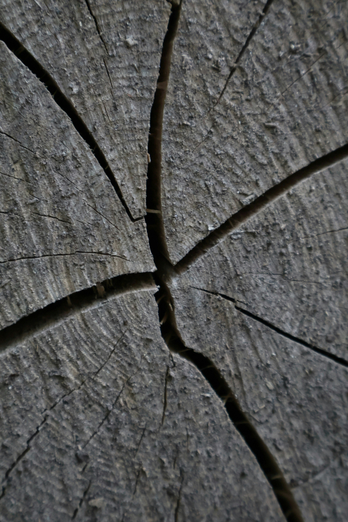 Martin-lednar-fkGFynP7-Ko-unsplash