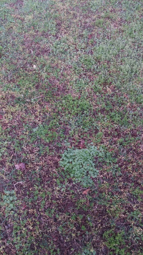 Universe beneath your feet